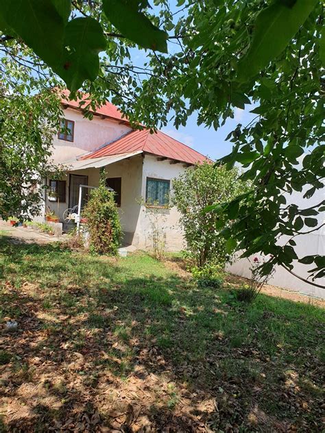 apartamente de vanzare Turceni